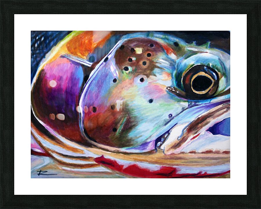 STEELHEAD CLOSEUP  Picture Frame print