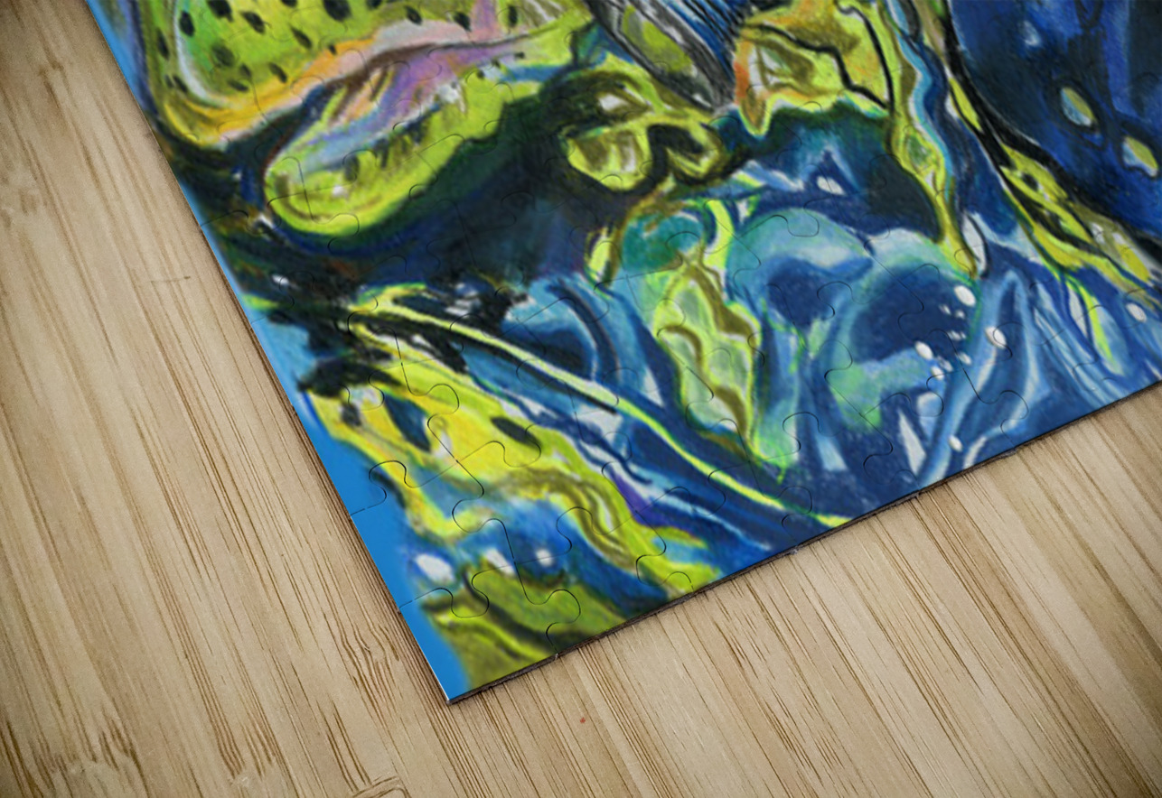 Rainbow Reflection Rosi Oldenburg Puzzle