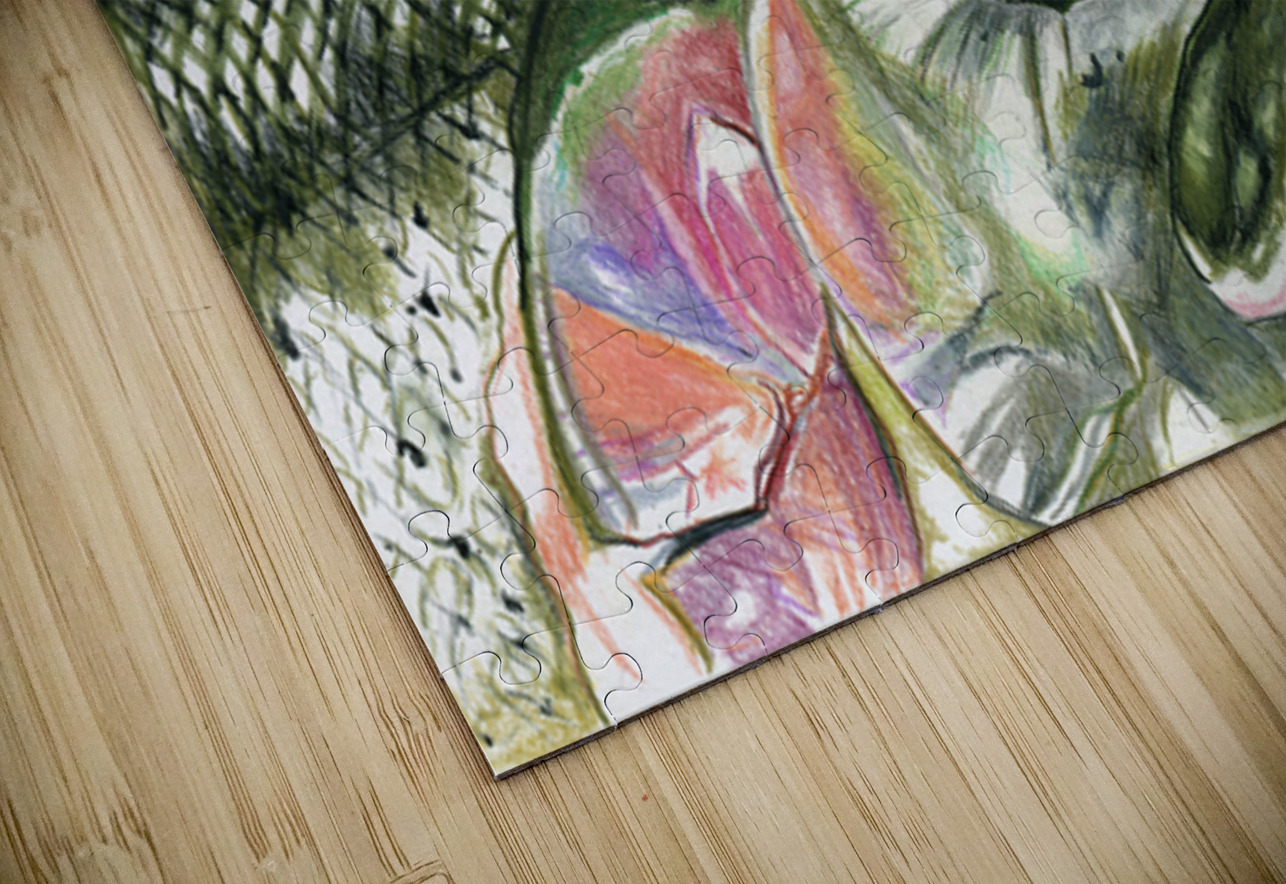 Double Take Rosi Oldenburg Puzzle