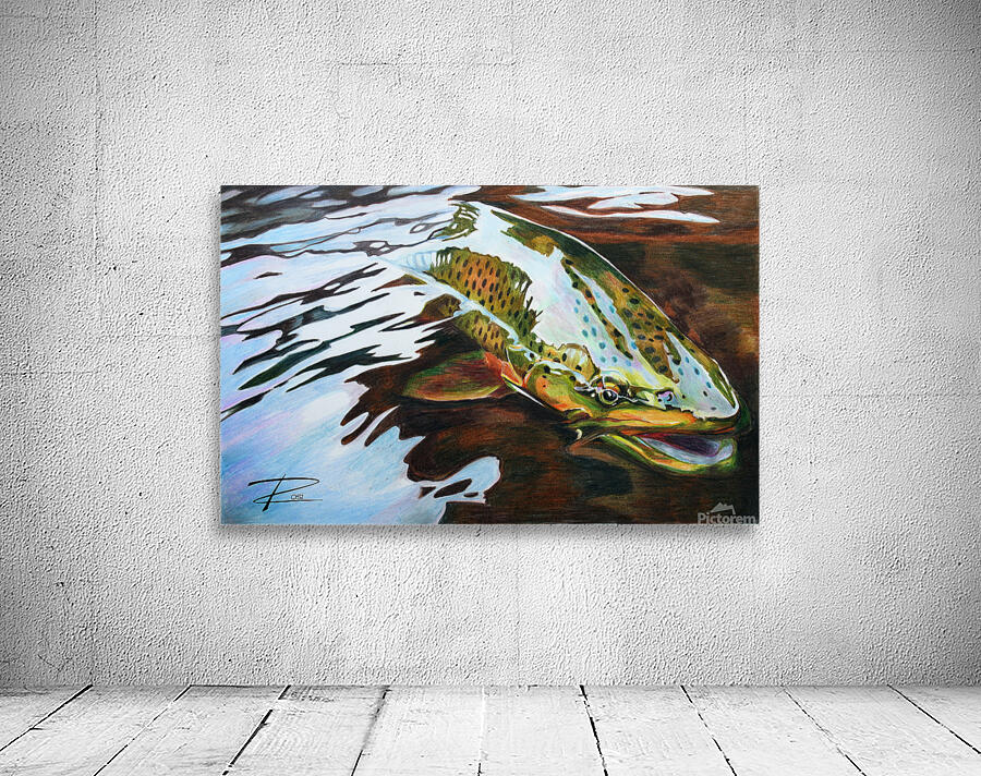 Trout Release Wall Preview