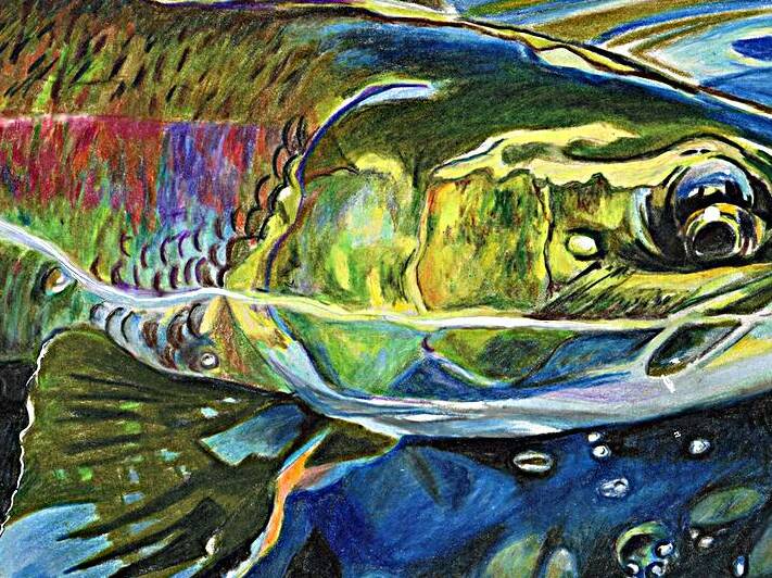 Stranded by Rosi Oldenburg