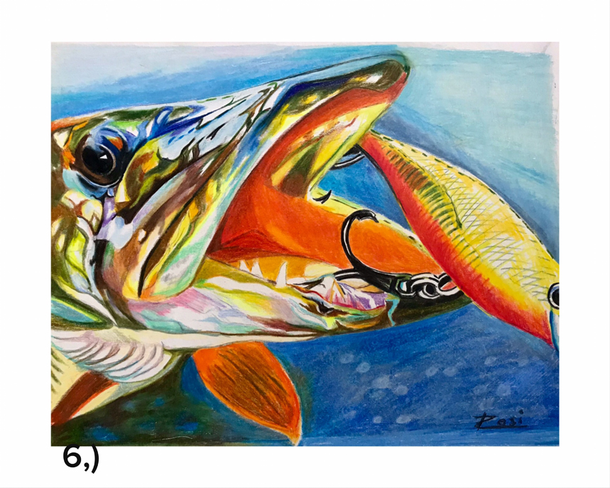 Red Tail Catfish II” – Rosi Oldenburg Fine Art